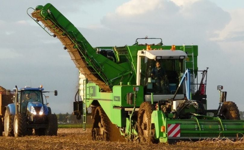 Harvesting potatoes Harvesting potatoes