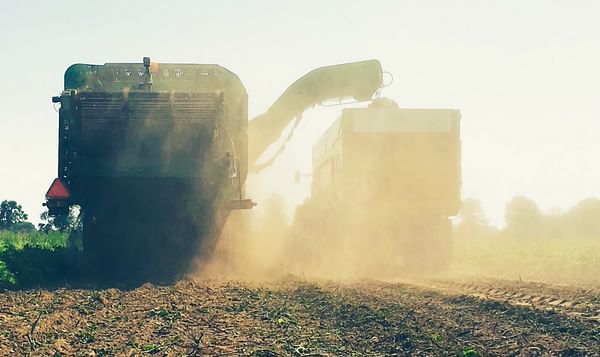Due to the late potato harvest the NEPG delays publication yield estimates till late November