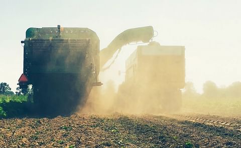 Impression of Harvest 2016: harvesting potatoes in dry soil (Courtesy: @Jos_Raedts) Impression of Harvest 2016: harvesting potatoes in dry soil (Courtesy: @Jos_Raedts)