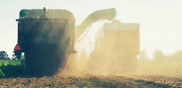 Due to the late potato harvest the NEPG delays publication yield estimates till late November