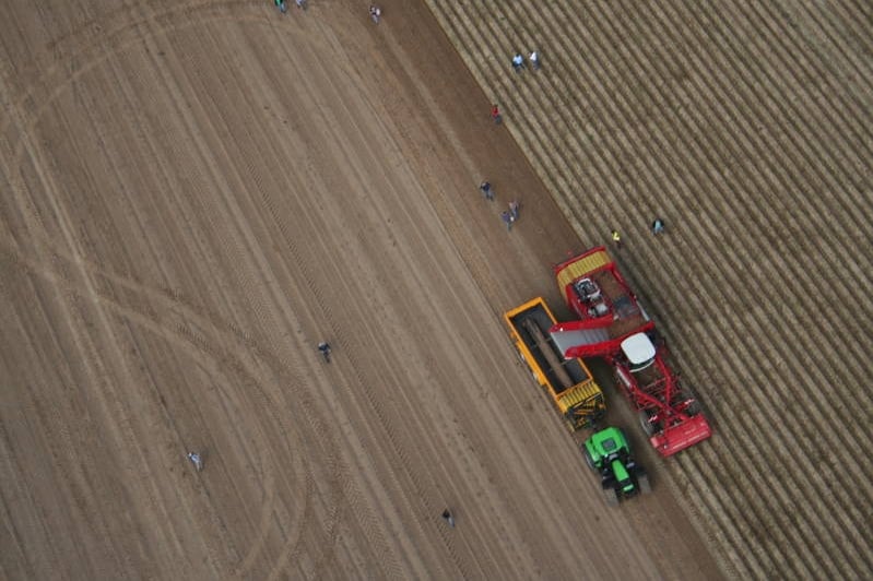Aerial view of the potato harvesting demonstrations Aerial view of the potato harvesting demonstrations