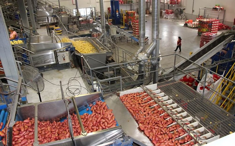 Los kibbutzim cultivan y empacan papas en cooperativas como Hevel Ma'on (Cortesía: Hevel Ma'on) Los kibbutzim cultivan y empacan papas en cooperativas como Hevel Ma'on (Cortesía: Hevel Ma'on)
