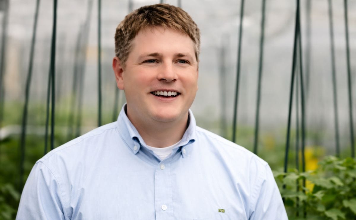 Simplot asks USDA for deregulation of their GM Innate potatoes