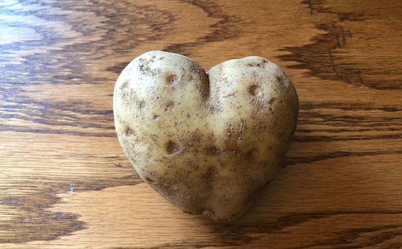 David Letterman hosted President Barack Obama at his talk show and offered 10 funny reasons why his guest accepted to come. But Obama stopped him, saying, “The reason I’m here? I want to see that heart-shaped potato.” This picture of a heart-shaped potato