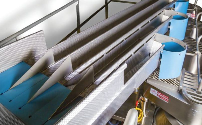 Heat and Control Fastlane slicer infeed conveyors offer easy, safe and cost-effective delivery of a singulated stream of potatoes to multiple slicers.