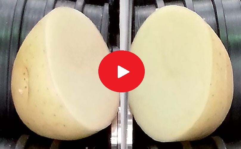 Potato Chip Processing and Packaging Potato Chip Processing and Packaging
