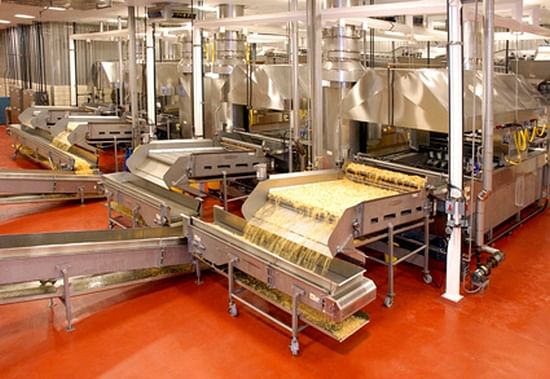 Heat and Control batch fryers for Potato Chips Production