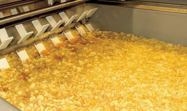Potato Product Fryers: an overview