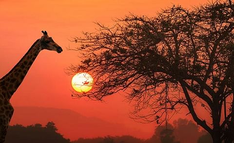 Heat and Control established a dedicated team and office in Cape Town, South Africa in 1992.
Heat and Control established a dedicated team and office in Cape Town, South Africa in 1992.