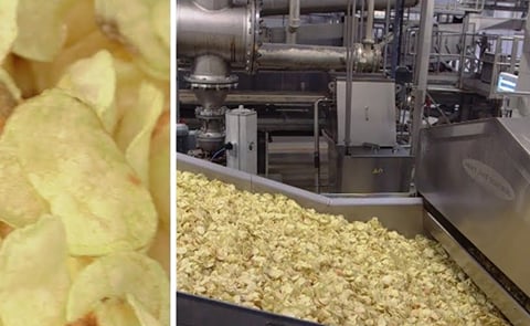 Using Pulse Electric Field Processing (PEF) the patent protected E-FLO Electroporation System provides significant product improvement in chip crunch, taste and texture as well as reduction in acrylamide formation and oil content. Using Pulse Electric Field Processing (PEF) the patent protected E-FLO Electroporation System provides significant product improvement in chip crunch, taste and texture as well as reduction in acrylamide formation and oil content.