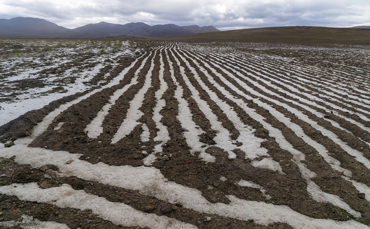 Bolivia: Heladas en Potosí afectan a 2.000 familias y al 50% de los cultivos