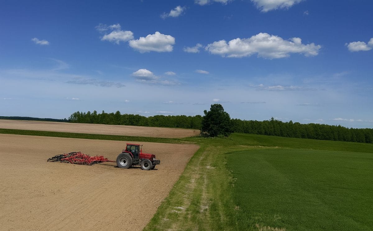 Potato planting in Maine complete after winter dealing with Dickeya Potato planting in Maine complete after winter dealing with Dickeya