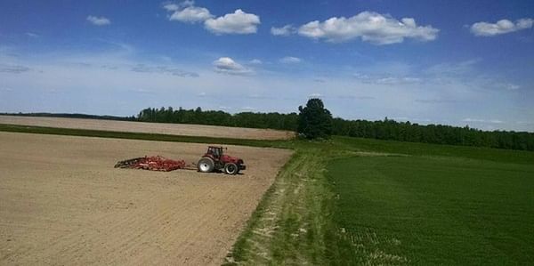 Potato planting in Maine complete after winter dealing with Dickeya
