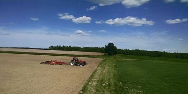 Potato planting in Maine complete after winter dealing with Dickeya