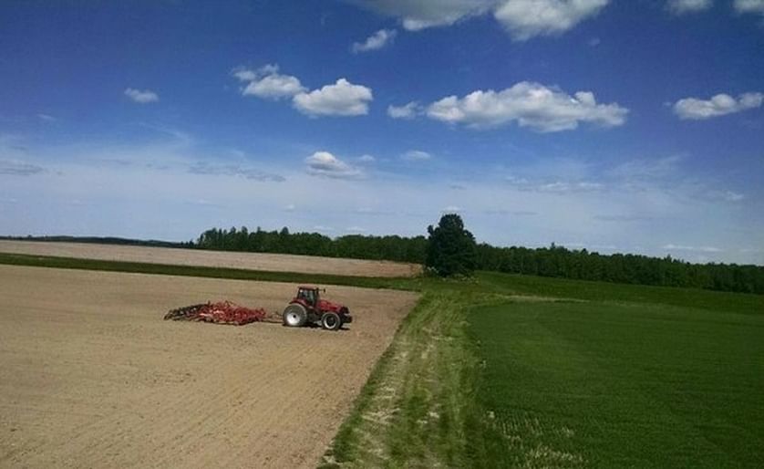 Potato and oat fields can be seen on the last day of planting on June 18 at Hemphill Farms in Presque Isle. The farm rotates fields between oats and potatoes. (Courtesy: Hemphill Farms / Bangor Daily News)