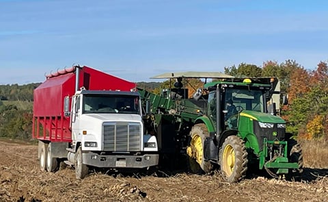 Herb Culberson Farms Ltd. will harvest about 78,000 barrels of potatoes this year. Herb Culberson Farms Ltd. will harvest about 78,000 barrels of potatoes this year.
