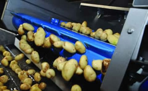 Potato Washing equipment Potato Washing equipment