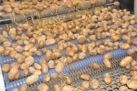 Herbert Variclean helps potato growers in hard winter conditions