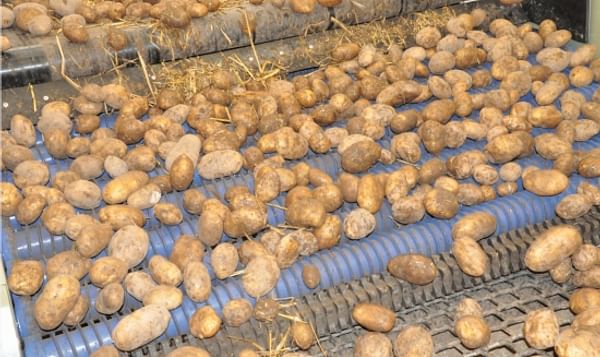 Herbert Variclean helps potato growers in hard winter conditions