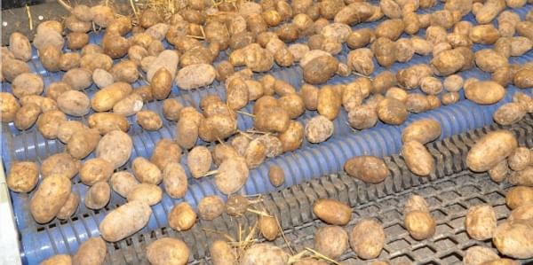 Herbert Variclean helps potato growers in hard winter conditions