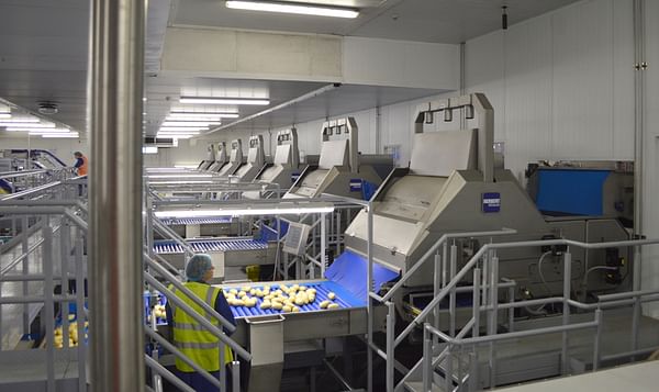 Key Technology acquires Herbert Solution, expanding its potato processing equipment portfolio
