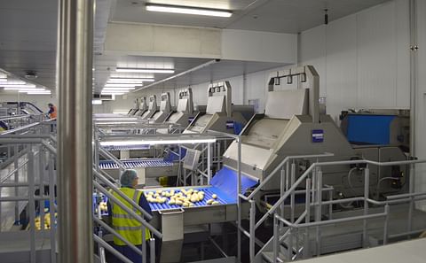 Herbert has established itself as a leader in serving the root crop and fresh produce markets with an assortment of industry leading sorting, washing and handling solutions.