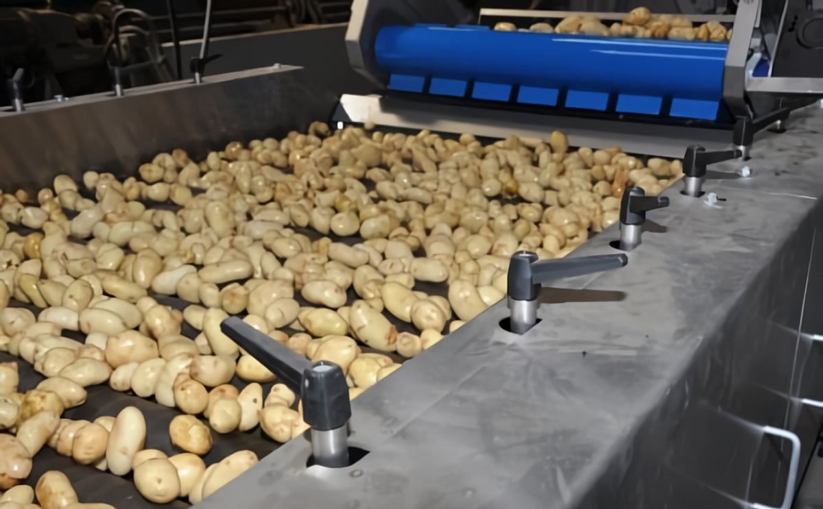Dry your potatoes with a Sponge Dryer from Herbert Engineering
