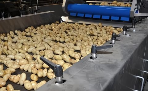 Dry your potatoes with a Sponge Dryer from Herbert Engineering Dry your potatoes with a Sponge Dryer from Herbert Engineering