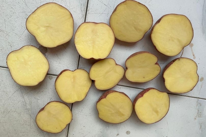 High-Quality Egyptian Potatoes: A Cut Above the Rest High-Quality Egyptian Potatoes: A Cut Above the Rest
