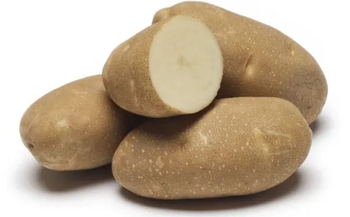 HIGHLAND RUSSET HIGHLAND RUSSET