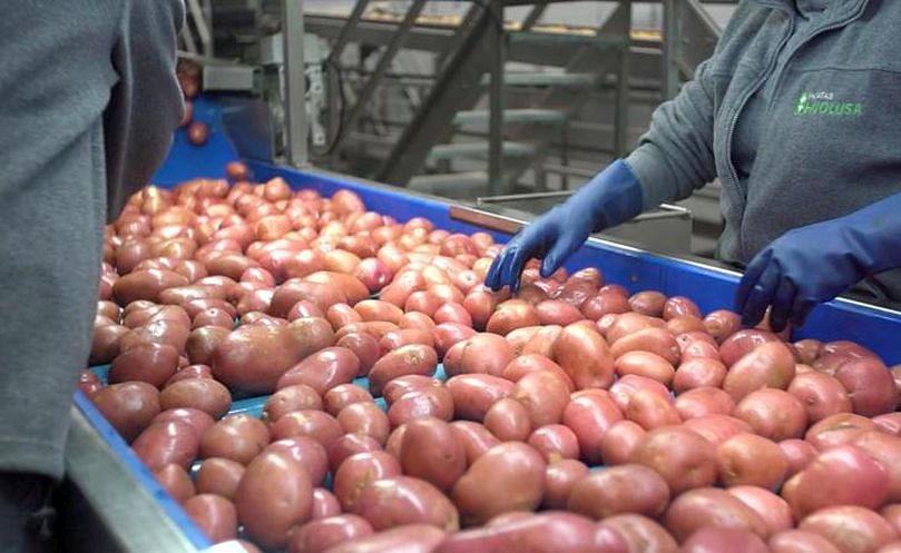 Selección de producto en la firma leonesa Patatas Hijolusa. Selección de producto en la firma leonesa Patatas Hijolusa.