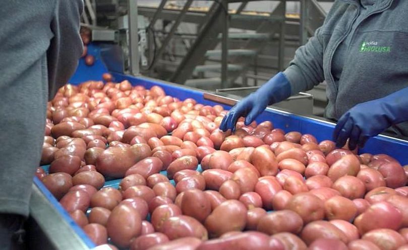 Selección de producto en la firma leonesa Patatas Hijolusa.