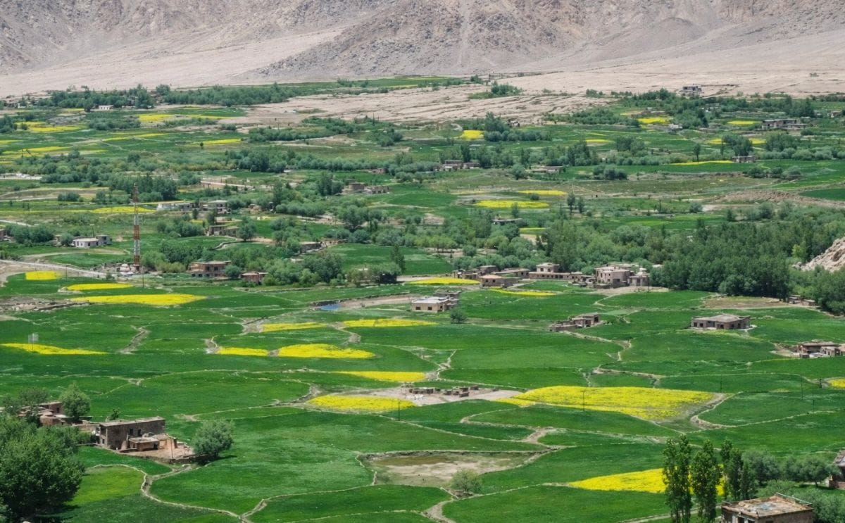 Farmland in the Lahaul and Spiti valley (Courtesy: Jai Kumar / Tribune India)