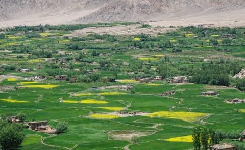 Farmland in the Lahaul and Spiti valley (Courtesy: Jai Kumar / Tribune India) Farmland in the Lahaul and Spiti valley (Courtesy: Jai Kumar / Tribune India)