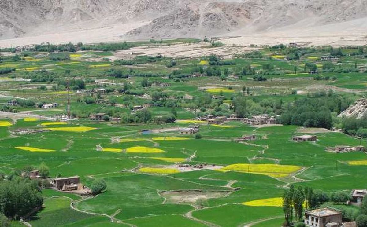 Farmland in the Lahaul and Spiti valley (Courtesy: Jai Kumar / Tribune India)