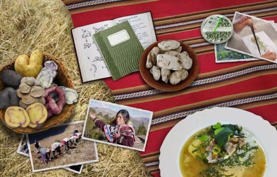 Homenaje de la Deutsche Welle a la papa