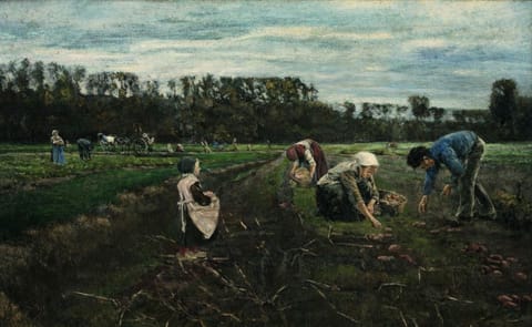 Historia de la papa en el mundo Historia de la papa en el mundo