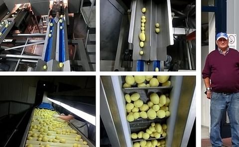 Optical sorting machine reduces costs and convinces with efficiency Optical sorting machine reduces costs and convinces with efficiency