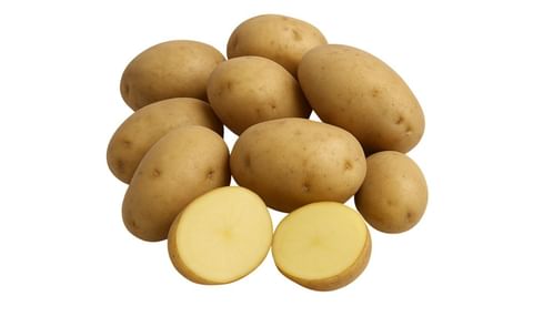 HOKKAIKOGANE HOKKAIKOGANE