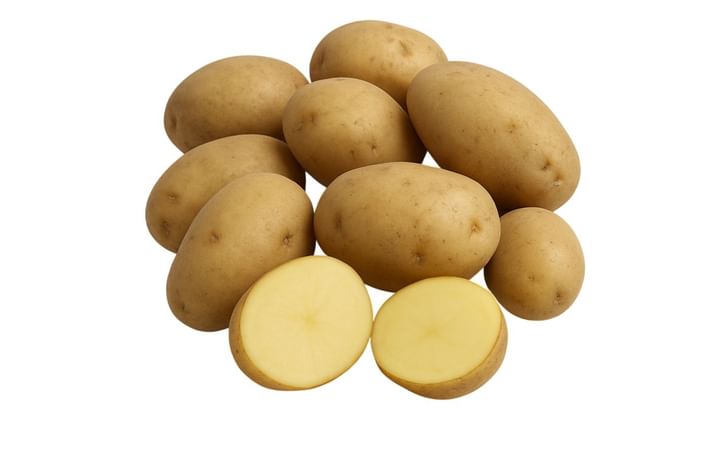 HOKKAIKOGANE HOKKAIKOGANE