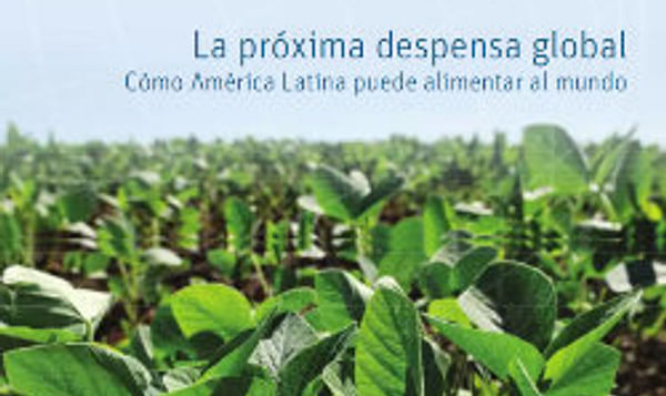 La próxima despensa global: Cómo América Latina puede alimentar al mundo