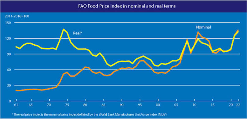 FAO Food Price Index rebounded in January.