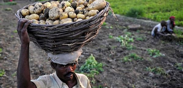 In Jharkhand, a homegrown innovation is driving up potato farmers&#039; incomes