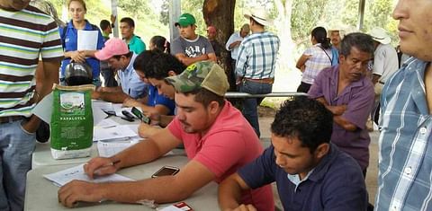 Honduras comparte resultados de investigaciones sobre raíces y tubérculos