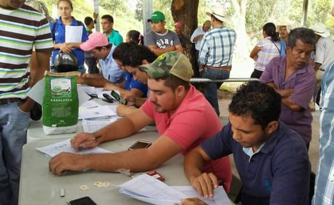 Honduras comparte resultados de investigaciones sobre raíces y tubérculos Honduras comparte resultados de investigaciones sobre raíces y tubérculos