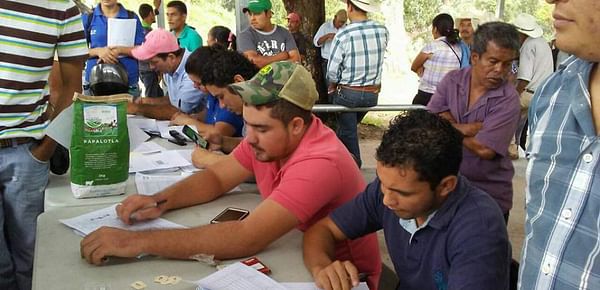 Honduras comparte resultados de investigaciones sobre raíces y tubérculos