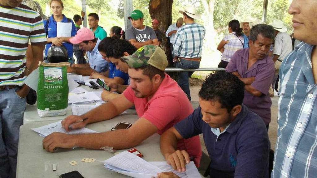 Honduras comparte resultados de investigaciones sobre raíces y tubérculos