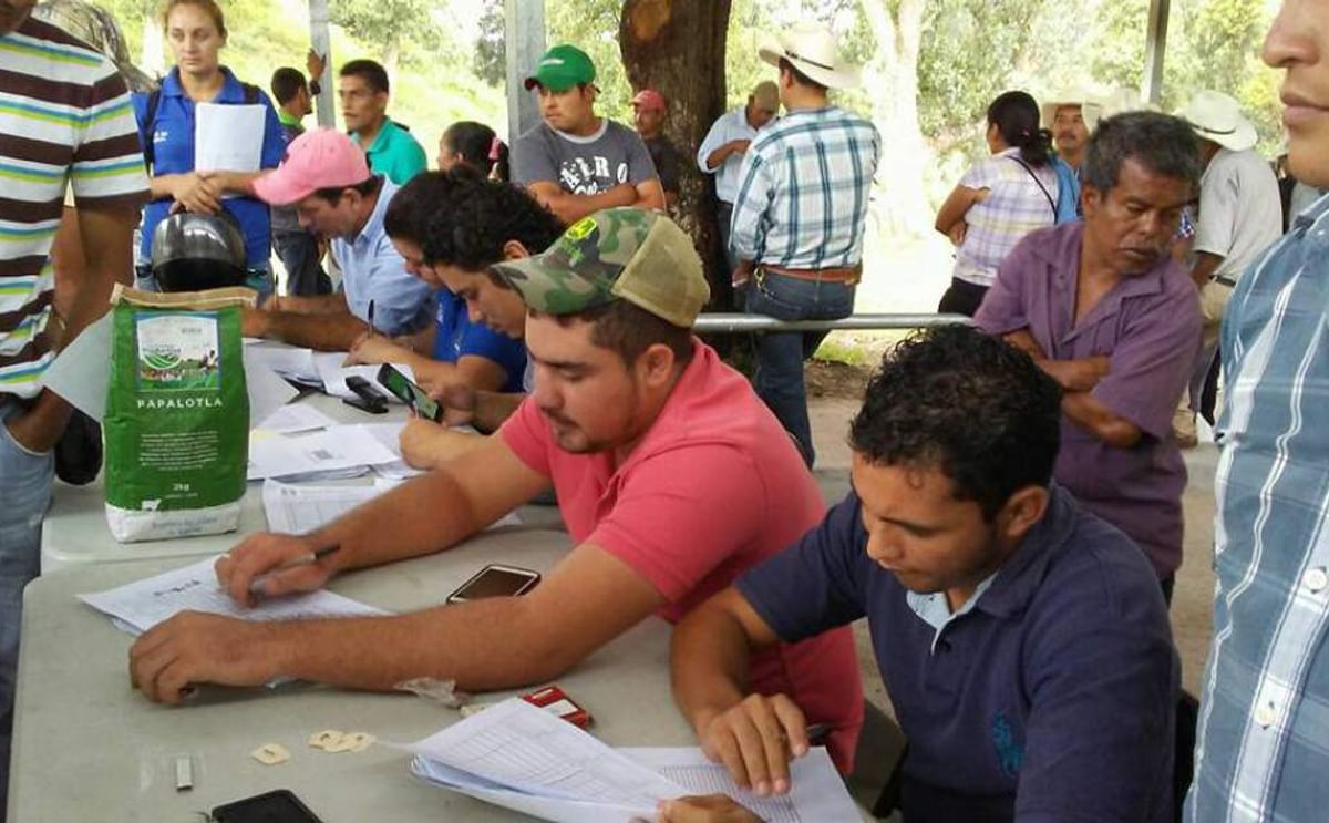 Honduras comparte resultados de investigaciones sobre raíces y tubérculos Honduras comparte resultados de investigaciones sobre raíces y tubérculos