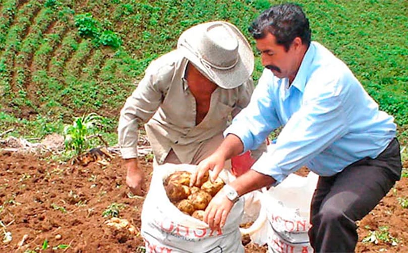 La evaluación se llevó a cabo en las zonas altas de los departamentos de Ocotepeque, Intibucá, La Paz, Francisco Morazán y Lempira. La evaluación se llevó a cabo en las zonas altas de los departamentos de Ocotepeque, Intibucá, La Paz, Francisco Morazán y Lempira.