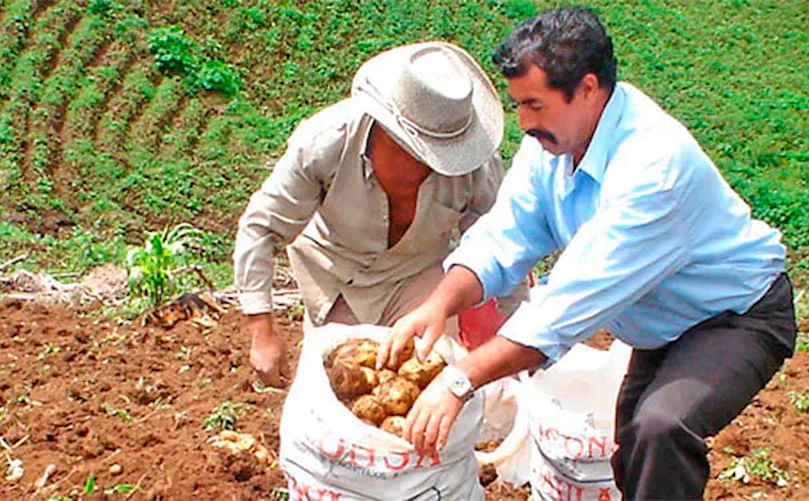 La evaluación se llevó a cabo en las zonas altas de los departamentos de Ocotepeque, Intibucá, La Paz, Francisco Morazán y Lempira.